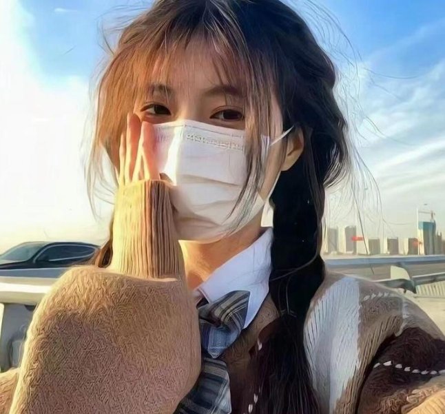 挪威的抵抗