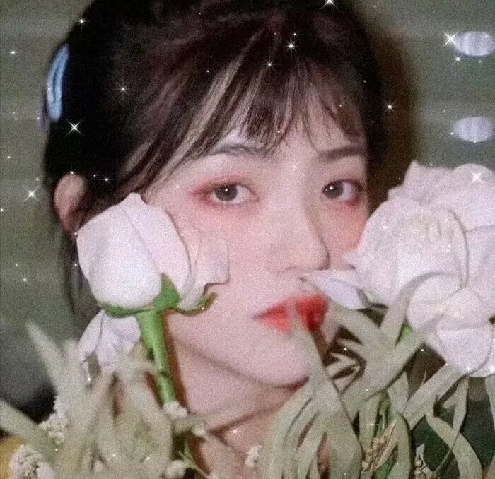 章鱼噼的原罪