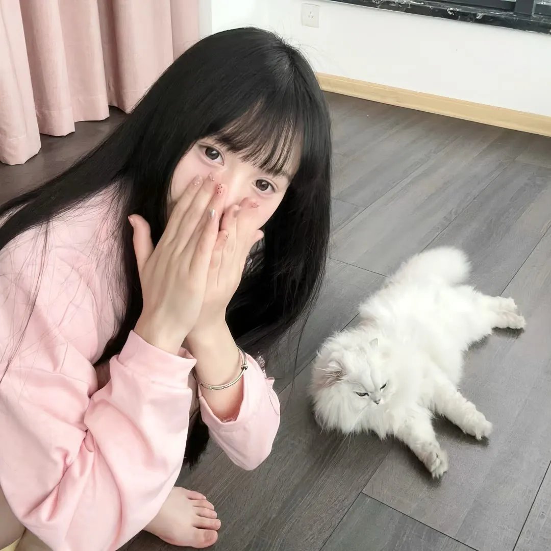 美丽破碎